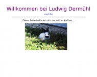 Bild Dermhl Gerhard Zimmerei