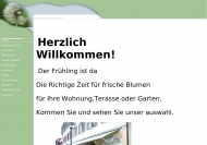 Bild Pusteblume Inh. Luise Willaredt