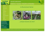 Bild Blumenland Halmer