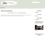 Website Heyn Walter