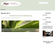 Website Heyn Walter