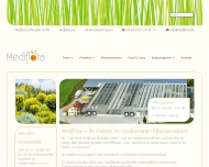 Bild Medi-Flora Lehrhuber GmbH Blumengrohandel