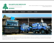 Bild Baumpflege Forstwirt Frank Breler