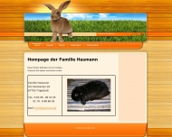 Bild Hasmann Ingenieurbro fr das Bauwesen