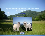 Bild Wochenkurier GmbH