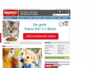 Bild KO-Test Holding AG