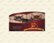 Bild Deutscher Tierschutzbund Ortsverein Hannover e.V.