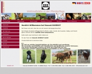 Bild Stassek DIVERSIT GmbH