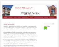 Bild Hemsing & Partner Steuerberater