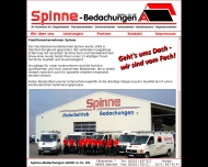 Bild Spinne Malermeister