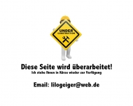 Bild Backmann Friedhelm Ing.-Oek. Immobilien