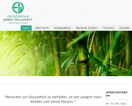 Bild Willhoeft Ernst M.Sc. Osteopathie, Heilpraktiker