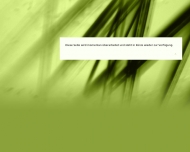 Website Ringleb Thomas Praxis für Physiotherapie