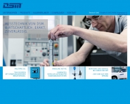 Bild DSM Metechnik GmbH