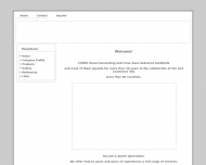 Bild Power Systems CONEX GmbH