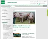 Website BayWa