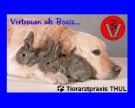 Bild Thul Jrg W. , Ira Praktische Tierrzte