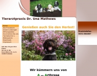 Bild Tierarztpraxis Mathews