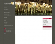 Website Medical Spa