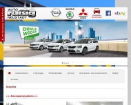 Bild Ruig Arndt Autohaus