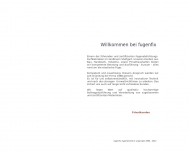Bild Fugenfix Fugentechnik