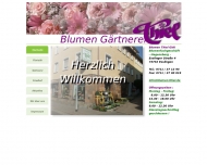 Bild Thiel Michael
