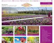 Steinhilber Gartenbau - G?rtnerei Schirmitz Weiden