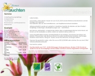 Bild Luchten Alfred Friedhofsgrtnerei