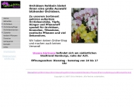 Bild Orchideen Rehbein Grtnerei