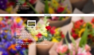 Bild Blumen Baumann