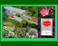 Bild Blanz Walter Grtnerei