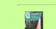 Bild Martin ttl Gartengestaltung