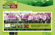 Bild Oestmann Frank Gärtnerei