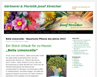 Bild Streicher Josef
