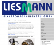 Bild Liesmann Elektromaschinenbau GmbH