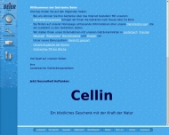 Bild Beier Steffen