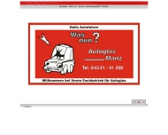 Bild Autoglas Manz