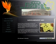 Bild Flora Nah Topfpflanzengrohandel