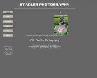Bild Stadler Otto