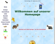 Website Liebe Wolfgang Fahrzeugaufbereitung , Ricardo