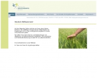 Bild Ergotherapie Bhler