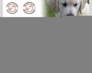 Bild Hundezwinger von der Stellerburg