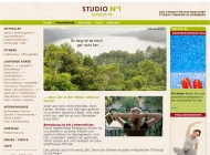 Website Fitness - Studio No1 - natürlich fit