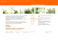 Website Doering, Kern, G�nther