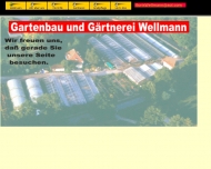 Bild Wellmann Grtnerei