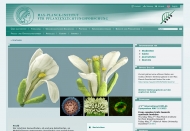 Bild Max-Planck-Institut fr Zchtungsforschung