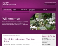 Bild Kiefer