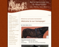 Bild Kellinghusen Bruno