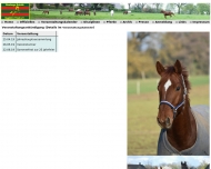 Bild Flensburger Reitclub Engelsby/Twedt e. V.