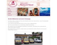 Bild Elektro-Sauer